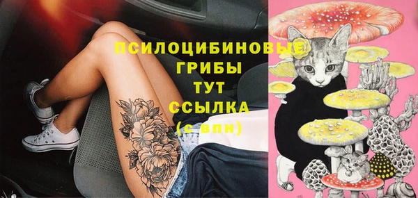 герыч Аркадак